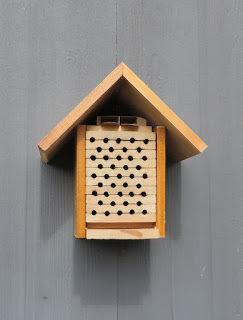 mason bee house